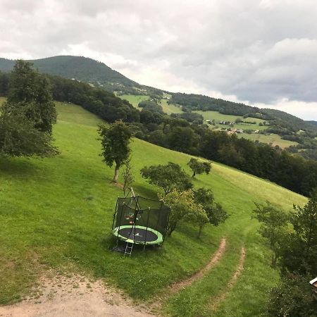 Hebergement Du Chene Fréland Kültér fotó