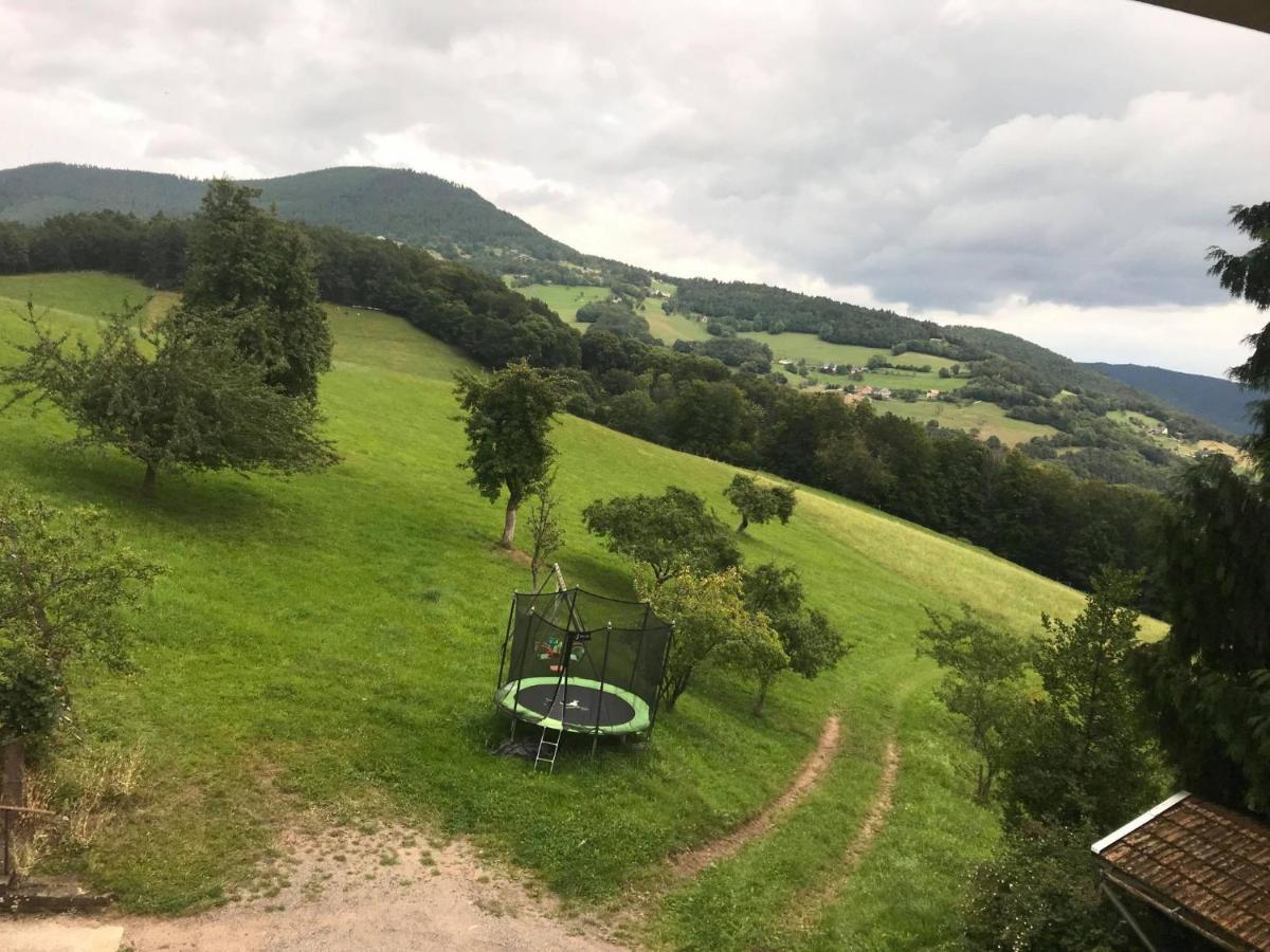 Hebergement Du Chene Fréland Kültér fotó