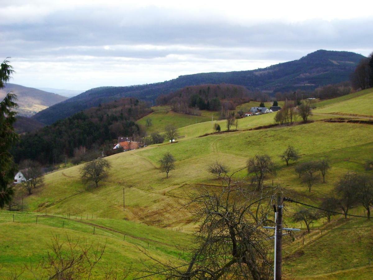 Hebergement Du Chene Fréland Kültér fotó